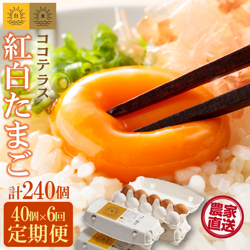 【6ヵ月定期便】ココテラスの紅白たまご 35個 + 5個保証(計40個)【JGAP認証】