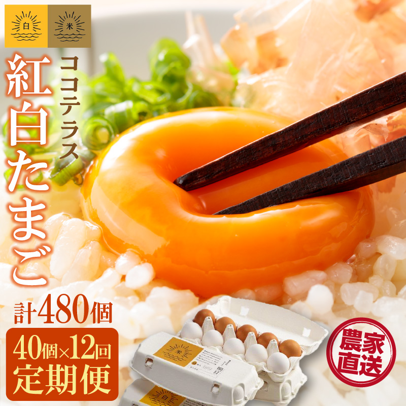 【12ヵ月定期便】ココテラスの紅白たまご 35個 + 5個保証(計40個)【JGAP認証】