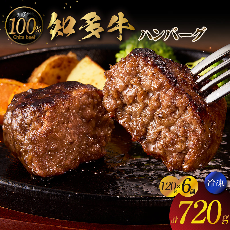 知多牛100％手作りハンバーグ　120g×6個入り