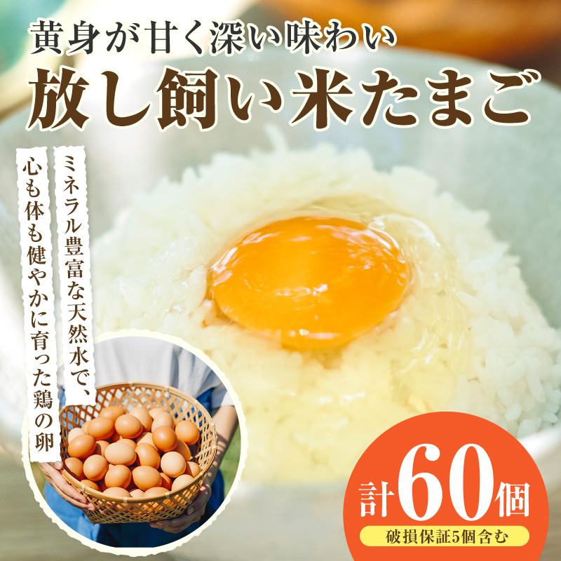 放し飼い米たまご55個+5個保証(計60個)