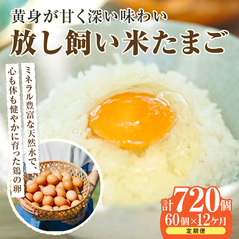 【12か月定期便】放し飼い米たまご55個+5個保証(計60個)