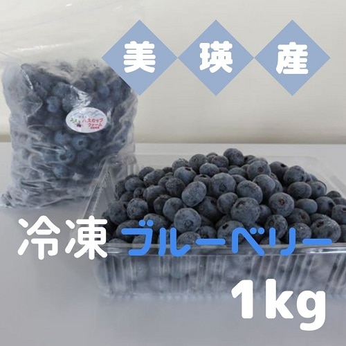 びえいハスカップファーム 美瑛産冷凍ブルーベリー1kg[016-49]