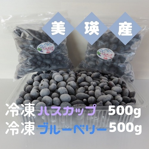 美瑛ハスカップファーム 美瑛産冷凍ハスカップ500g・冷凍ブルーベリー500g[016-50]