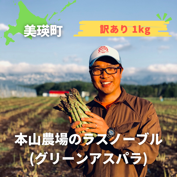 [訳あり]幻のアスパラ 本山農場のラスノーブル(グリーンアスパラ)1kg[010-192]