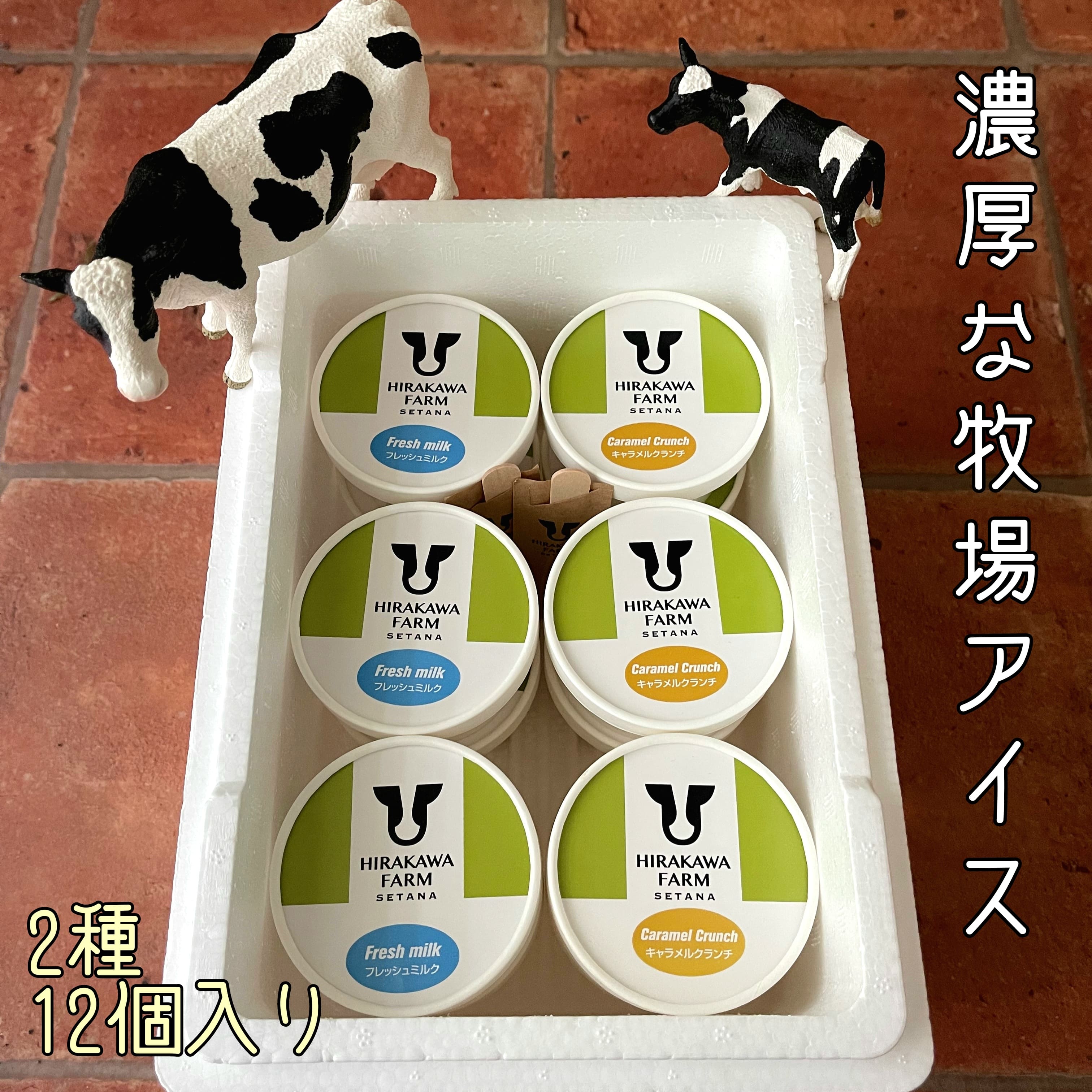 【北海道産搾りたて生乳使用】ひらかわ牧場のアイスクリーム おすすめ2種12個セット フレッシュミルク キャラメルクランチ デザート スイーツ お取り寄せ ギフト せたな町 ふるさと納税