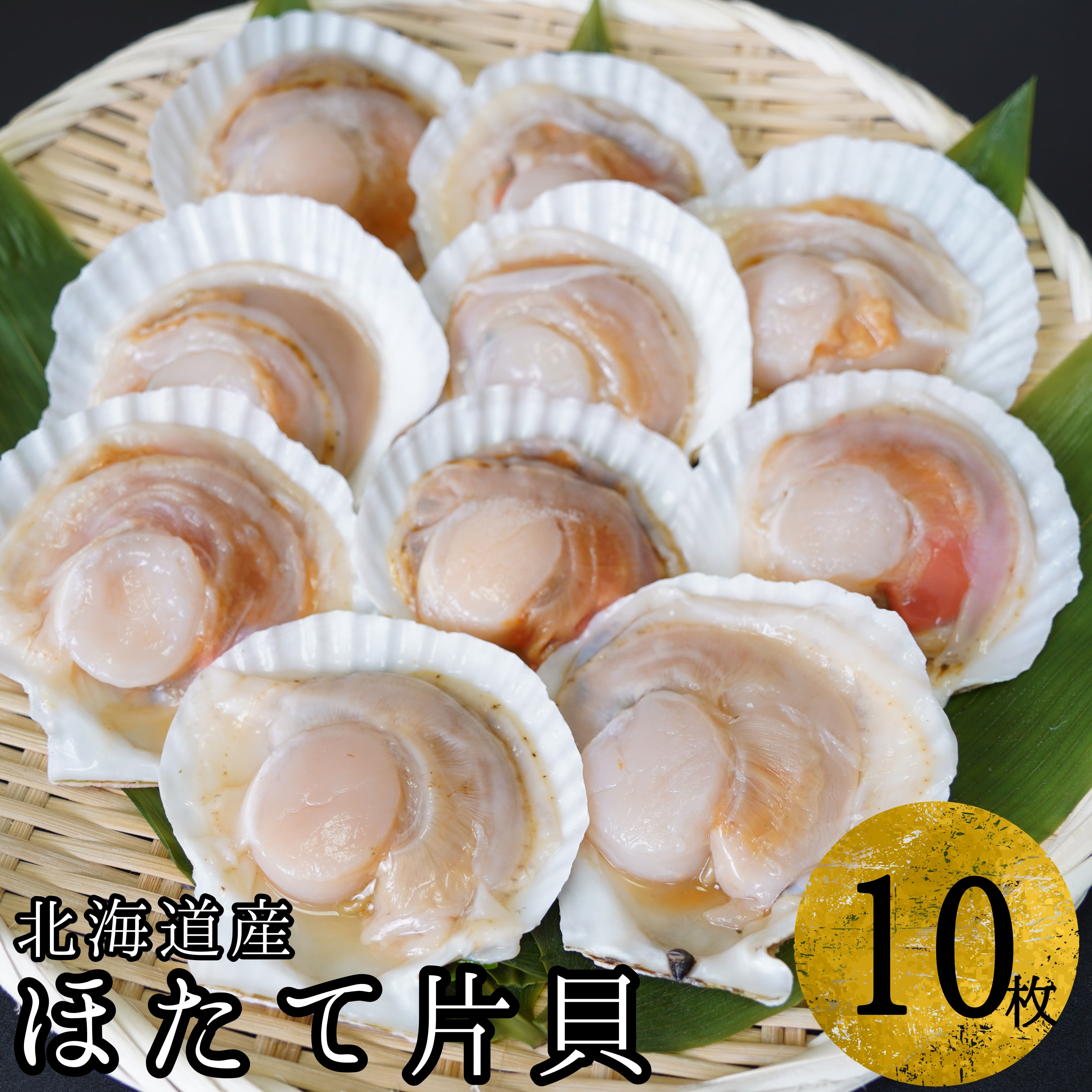 【海鮮BBQにおすすめ】北海道産 ほたて片貝 10枚 ウロ処理済み 洗浄済み殻つき 下処理済 バター焼き ご飯 冷凍 旬 おつまみ 海鮮 せたな町 ふるさと納税