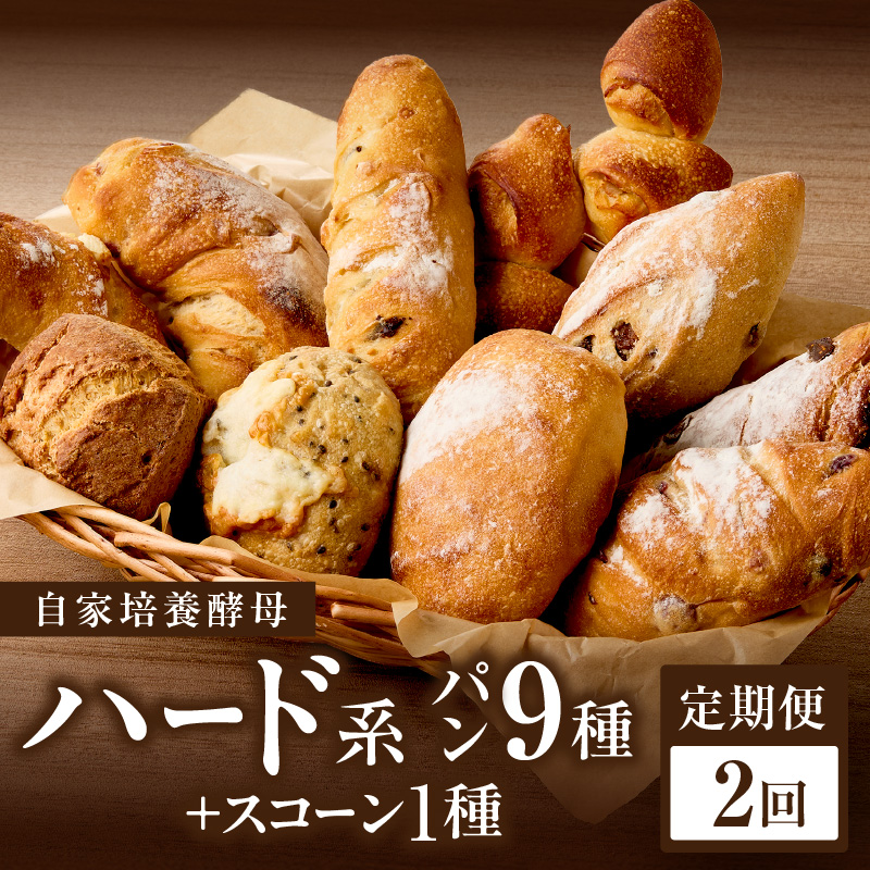 【全2回定期便】選べる回数！自家培養酵母で焼くハード系パン9種＋スコーン1種セット！
