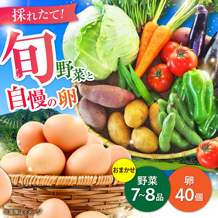 【数量限定】新鮮 卵 と 旬の 野菜 セット (野菜7-8品程度＋40個)  ／  たまご 生卵 タマゴ 詰合せ セット 熊本県 特産品 【有限会社さんふれあ】 [BHAK002]