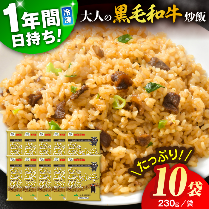 熊本県産 こだわり炒飯 大人の黒毛和牛炒飯 計2.3kg (230g×10) 【ユーユーフーズ株式会社】[BHCS003]
