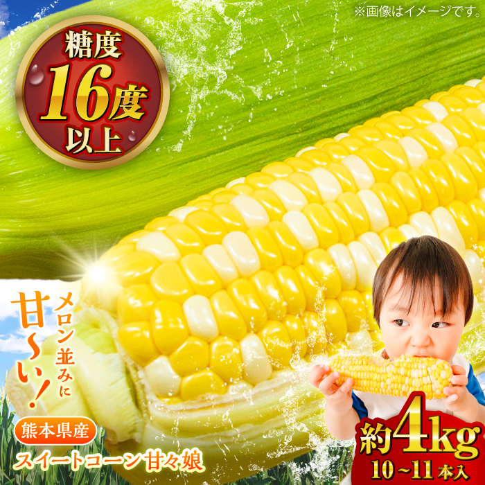 【先行予約】【2026年6月上旬より順次発送】スイートコーン(甘々娘) 約4kg（10～11本）【なかむら農園】 [BHCJ001]