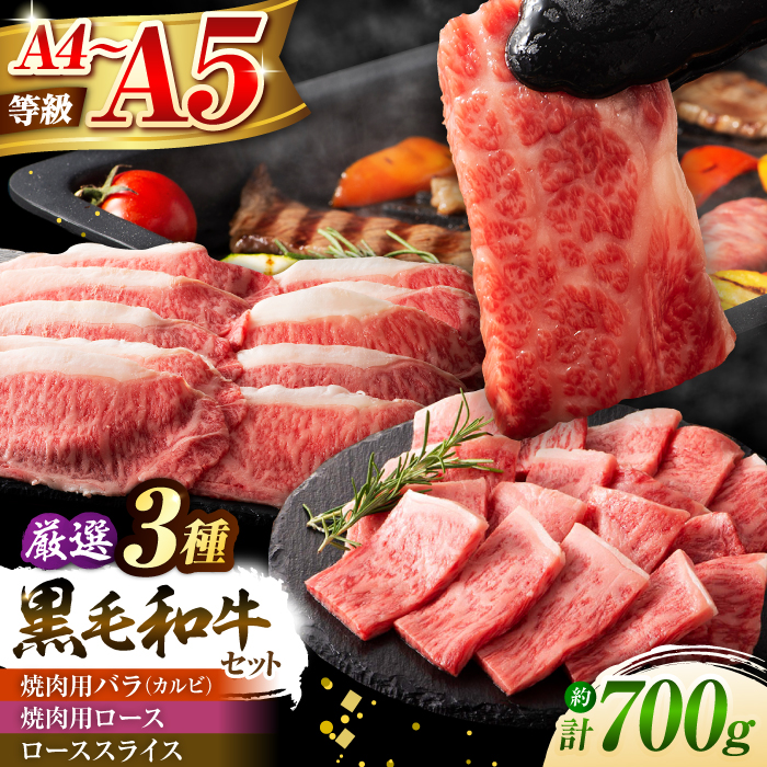 くまもと黒毛和牛「藤彩牛」厳選3種の食べ比べ計700g 3902【株式会社フジチク】 [BHAD012]