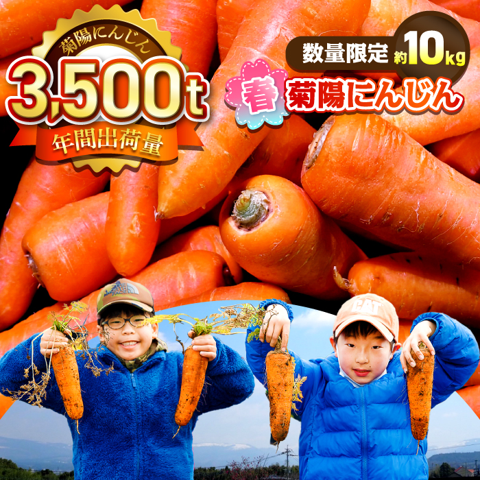 【数量限定】菊陽町の春にんじん 約10kg【有限会社さんふれあ】 [BHAK004]