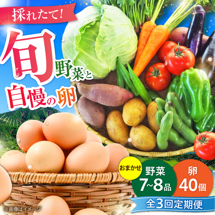 [全3回定期便][数量限定]新鮮たまごと旬の野菜セット(野菜7~8品程度+40個) / たまご 生卵 タマゴ 詰合せ セット 熊本県 特産品[有限会社さんふれあ] [BHAK009]