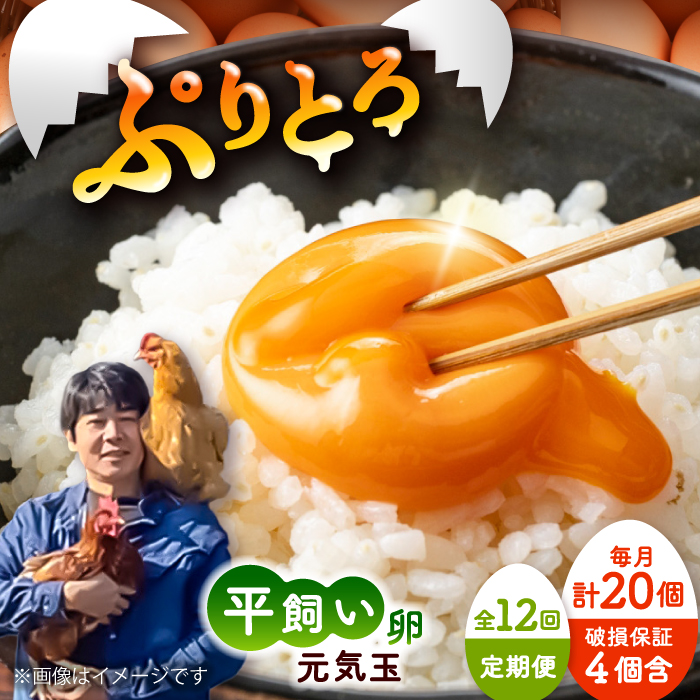 【全12回定期便】平飼い新鮮たまご　元気玉 計20個(10個×2パック) / 卵 ぷりぷり 新鮮 玉子 オムレツ たまごかけごはん 朝食 鶏卵 平飼い 濃厚 こく 熊本県 菊陽町【ぴよっこファーム】 [BHAP005]