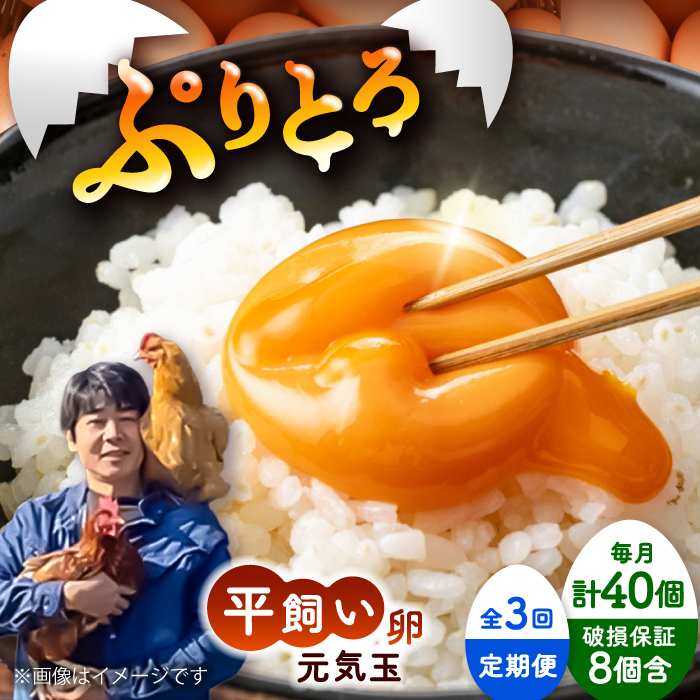 【全3回定期便】平飼い新鮮たまご 元気玉 計40個(10個×4パック) / 卵 ぷりぷり 新鮮 玉子 オムレツ たまごかけごはん 朝食 鶏卵 平飼い 濃厚 こく 熊本県 菊陽町【ぴよっこファーム】 [BHAP006]