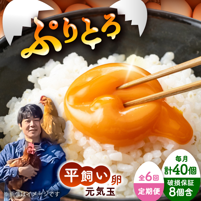 【全6回定期便】平飼い新鮮たまご 元気玉 計40個(10個×4パック) / 卵 ぷりぷり 新鮮 玉子 オムレツ たまごかけごはん 朝食 鶏卵 平飼い 濃厚 こく 熊本県 菊陽町【ぴよっこファーム】 [BHAP007]