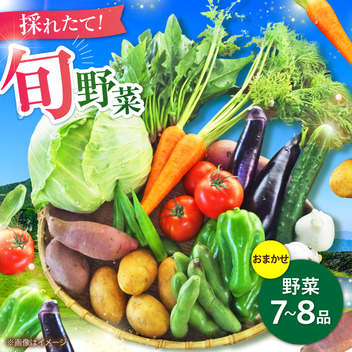 [数量限定]旬の 野菜 セット (約3kg/野菜7-8品程度) / 野菜 新鮮 旬 詰合せ セット 熊本県 菊陽町 特産品 [有限会社さんふれあ] [BHAK023]