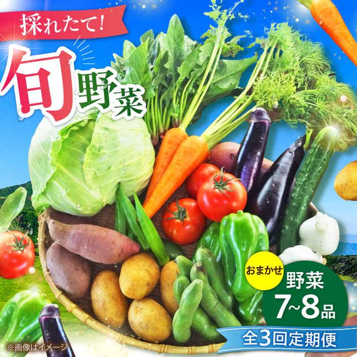 [全3回定期便][数量限定]旬の 野菜 セット (約3kg/野菜7-8品程度) / 野菜 新鮮 旬 詰合せ セット 熊本県 菊陽町 特産品 [有限会社さんふれあ] [BHAK024]