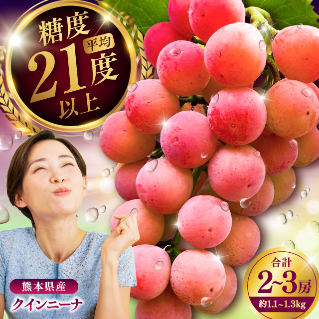 【限定数量】【8月下旬発送開始】 クインニーナ 約1.1kg～1.3kg 合計2～3房 / 糖度 21度 くいーんにーな 甘味 鮮やか あかブドウ ぶどう フルーツ 大粒【りとる農房】 [BHBO002]