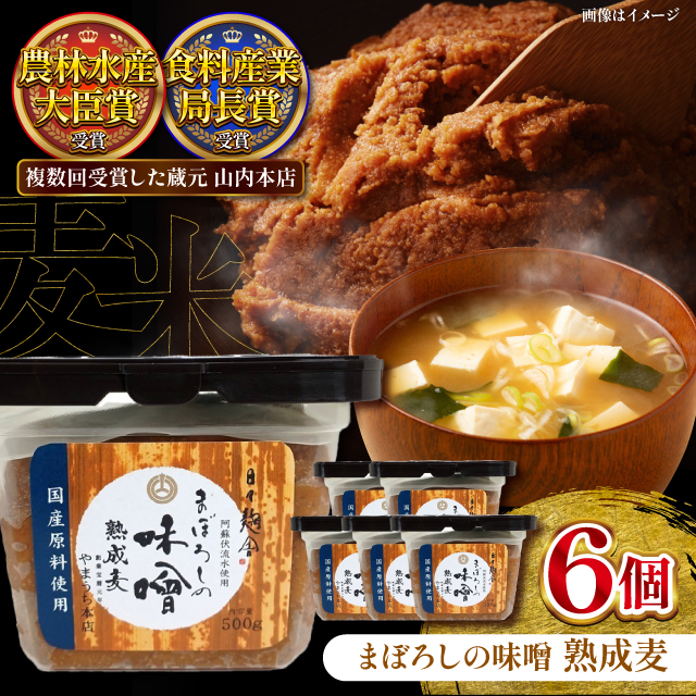 まぼろしの味噌 熟成麦 500g×6個セット[株式会社山内本店] [BHAE020]