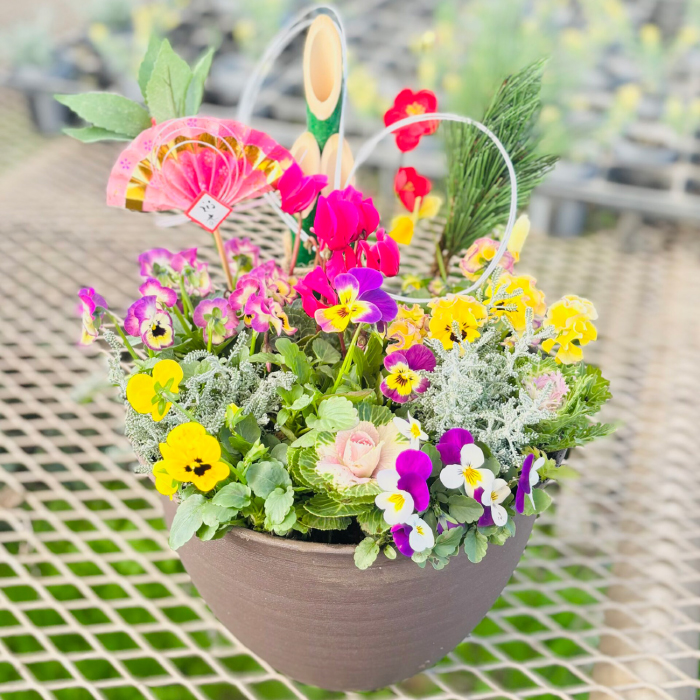 [先行予約][12月上旬順次発送開始]新年を華やかに彩る お正月の寄せ植え(おまかせ) / 正月飾り 花苗 鉢 ピック[GreenlifeYoshimura]新年を華やかに彩る お正月の寄せ植え(おまかせ) / 正月飾り 花苗 鉢 ピック[GreenlifeYoshimura] [BHBG001]