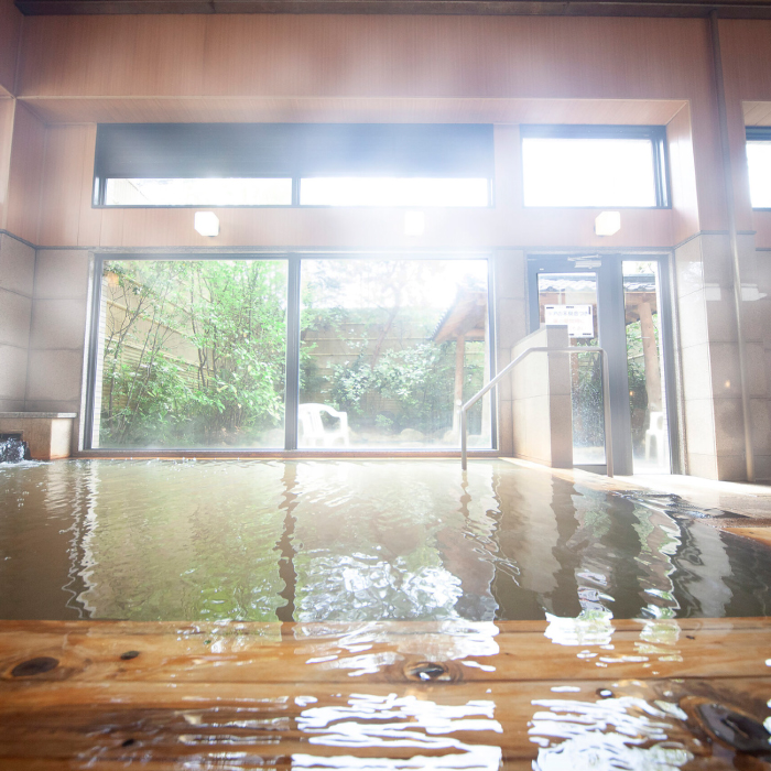 温泉入浴券 大谷の湯 日帰り温泉 入浴券 12枚【社会福祉法人青生会】 [BHCM002]