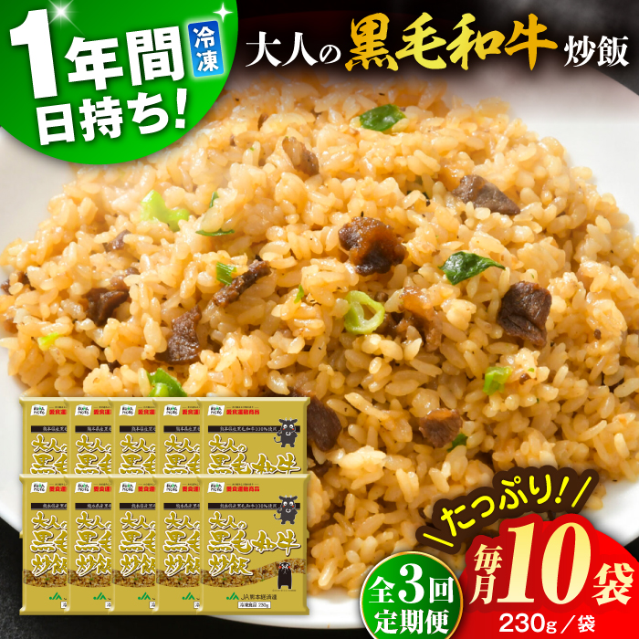 【全3回定期便】熊本県産 こだわり炒飯 大人の黒毛和牛炒飯 計2.3kg (230g×10)【ユーユーフーズ株式会社】 [BHCS019]