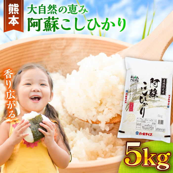 【令和7年産】熊本県産 阿蘇コシヒカリ 5kg【熊本パールライス株式会社】 [BHBP001]