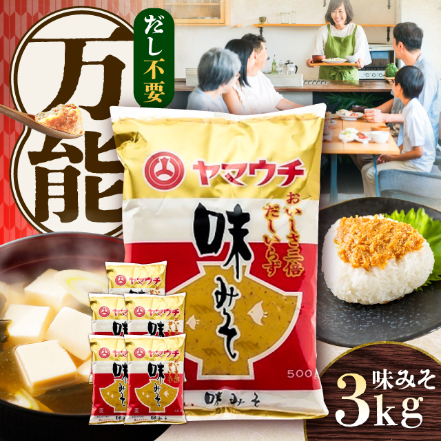 味みそ3kg(500g×6袋)【株式会社山内本店】 [BHAE045]