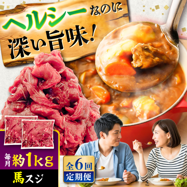 【全6回定期便】馬スジ 約1kg (約500g×2パック) / 馬肉 スジ 馬すじ 煮込み 煮物 カレー お肉 スジ肉 スジ すじ肉 料理用 馬 肉 熊本 すじ【五右衛門フーズ】 [BHCY043]