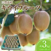 【ふるさと納税】【配送不可地域：北海道・沖縄県・離島】 三豊市産キウイフルーツ  秋 旬