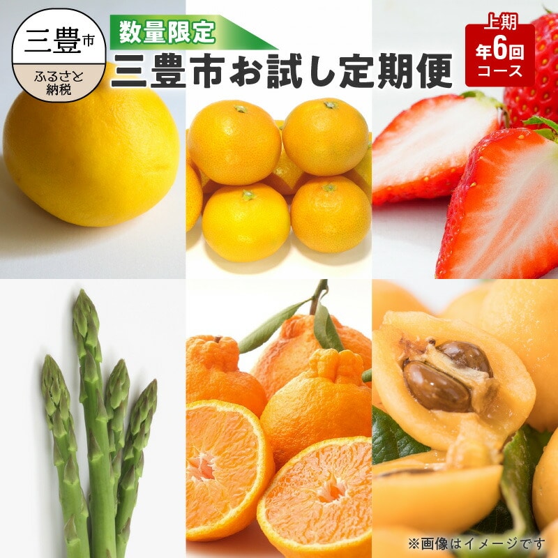 【ふるさと納税】数量限定 フルーツ 野菜 定期便 6回 上期 お試し こだわり 6品 産地直送 文旦 みかん いちご アスパラ ビワ デコポン 果物 旬 旬の果物 旬の野菜 フルーツ王国 お取り寄せ 三豊市 香川県