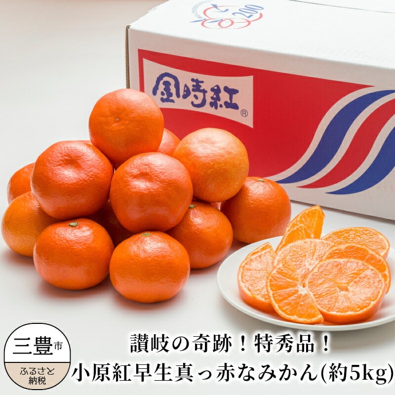 【ふるさと納税】 みかん 小原紅みかん　讃岐の奇跡！特秀品！小原紅早生真っ赤なみかん 極撰 約5kg [ フルーツ 果物 果実 柑橘 スイーツ 食品 国産 香川県 三豊市 お取り寄せ 返礼品 ギフト プレゼント 送料無料  旬 北浜商店 ] 【配送不可地域：北海道・沖縄県・離島】