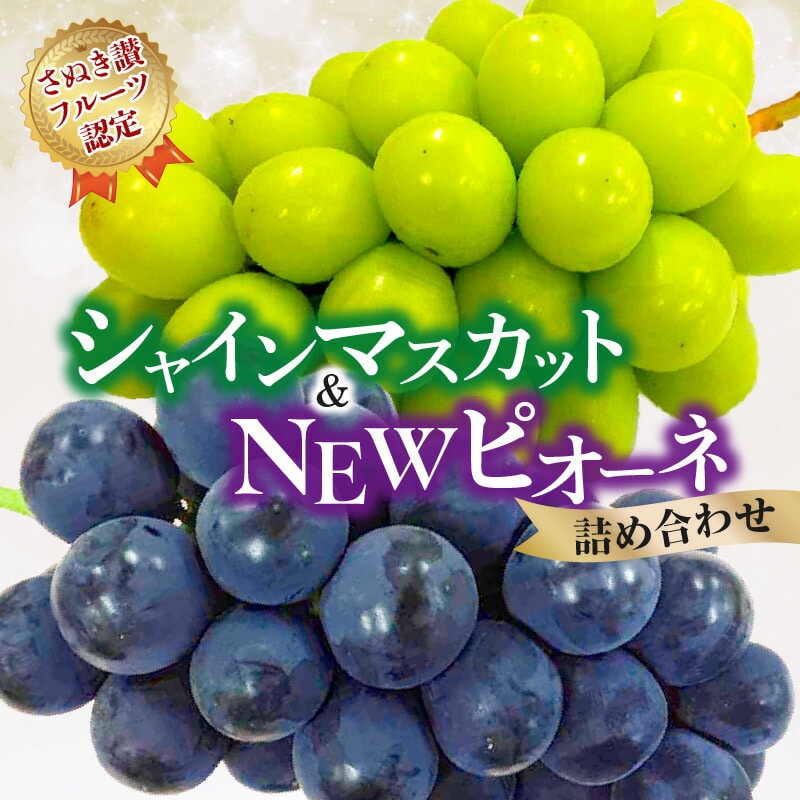 【ふるさと納税】【さぬき讃フルーツ認定】 締め切り間近 シャインマスカット＆NEWピオーネ詰め合わせ  シャインマスカット 大粒 贈答用 ギフト お取り寄せ 国産 旬 新鮮 産地直送 高級 ぶどう 葡萄 ブドウ 皮ごと 種なし たねなし 詰め合わせ 詰合せ 詰合わせ