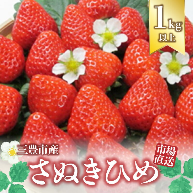 [2025年出荷 先行予約]三豊市産[市場直送 さぬきひめ 1.0kg以上]