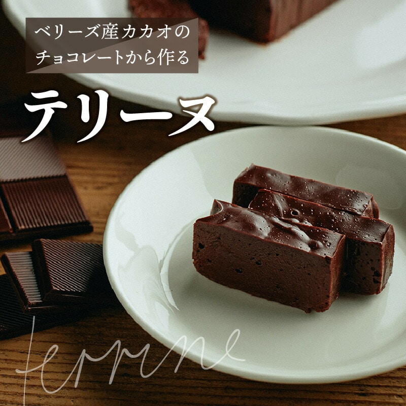 【ふるさと納税】the TERRINE ベリーズ産カカオのチョコレートから作るテリーヌ