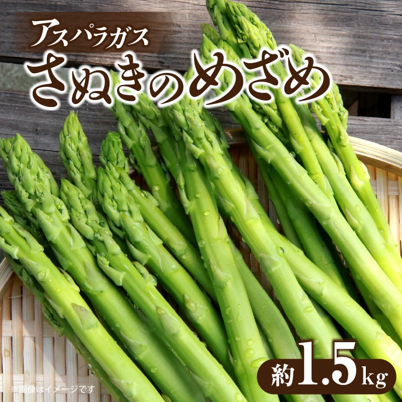 【ふるさと納税】【先行予約】さぬきのめざめ 約1.5kg バラ詰め アスパラガス 夏芽 グリーンアスパラガス 食品 送料無料 新鮮 旬 産地直送 お取り寄せ お取り寄せグルメ おすすめ 贈り物 ギフト シャキシャキ 冷蔵 野菜 夏野菜  香川県 三豊市