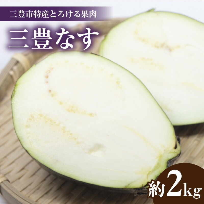 [ふるさと納税][先行予約]三豊市特産とろける果肉「三豊なす」約2kg