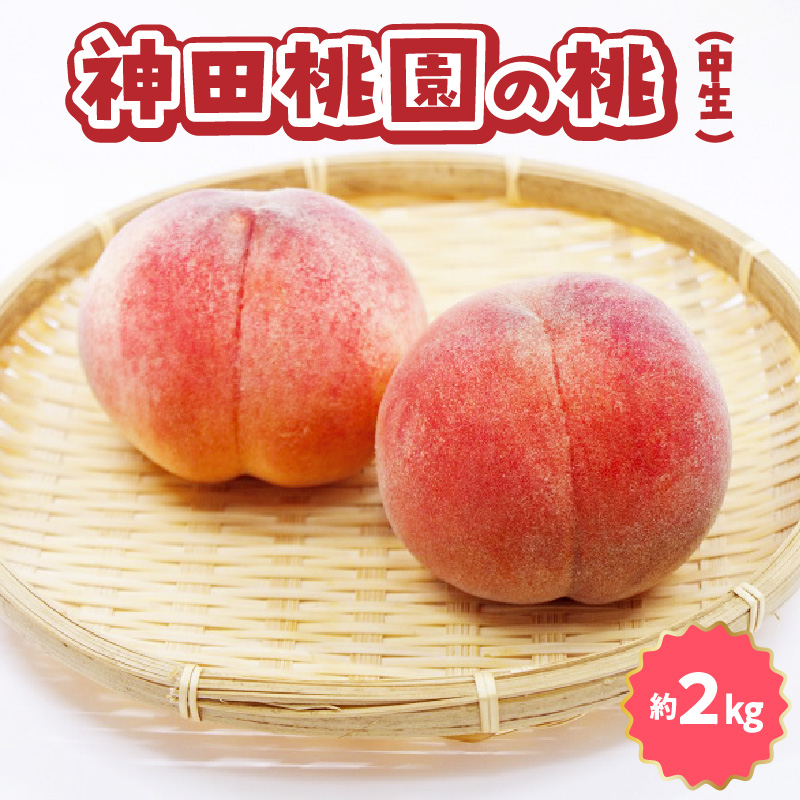 [ふるさと納税]数量限定!先行予約販売開始★ 神田農園の産地直送 桃「あかつき」約2kg(6〜7玉) [ フルーツ 名産品 桃 もも モモ 白桃 果物 贈り物 三豊市 15000 15, 返礼品 神田桃園 ] ※配送不可地域:北海道・沖縄県・離島