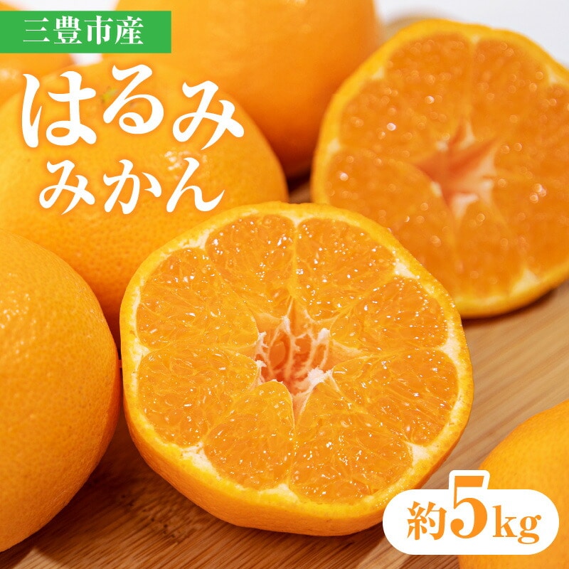 【ふるさと納税】【先行予約】【配送不可地域：北海道・沖縄県・離島】三豊市産はるみみかん 約5kg  秋 旬
