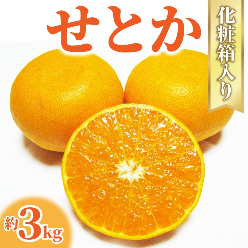 【ふるさと納税】【配送不可地域:北海道・沖縄県・離島】みかん せとか 約 3kg 7玉~12玉 国産 とろける食感 とろける甘さと濃厚な風味 なめらかで美しい果肉 みかんの大トロ とも呼ばれる 海外からも注目 柑橘 フルーツ 果物 2月上旬から2月下旬頃の順次発送  秋 旬