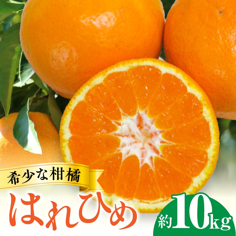 【ふるさと納税】【配送不可地域:北海道・沖縄県・離島】フルーツ デザート 果物 果実 みかん 柑橘 希少 柑橘 はれひめ 約10kg お土産 ギフト 生産量 オレンジ 内皮ごと フルーツ王国 香川県 三豊市 お取り寄せ 送料無料