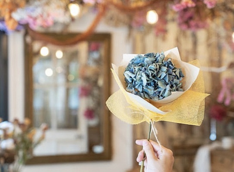 【ふるさと納税】 三豊市 紫雲出山 あじさい 7本 ドライフラワー 花 雑貨 インテリア 壁掛け 観賞 玄関 かわいい オシャレ お祝い プレゼント 贈り物 ギフト お取り寄せ 香川県 送料無料  秋 旬