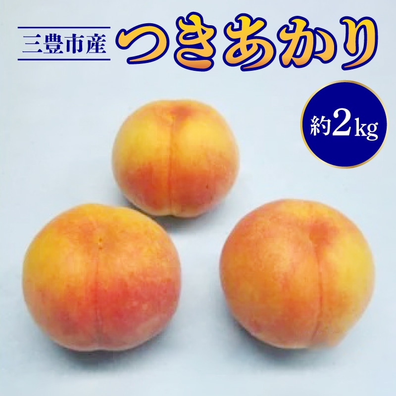 [ふるさと納税]数量限定!先行予約販売開始★ 神田農園の人気産地直送 桃「つきあかり」 約2kg(6玉) [ フルーツ 名産品 桃 もも モモ 果物 くだもの 取り寄せグルメ 三豊市 15000 15, 返礼品 神田桃園 ] ※配送不可地域:北海道・沖縄県・離島