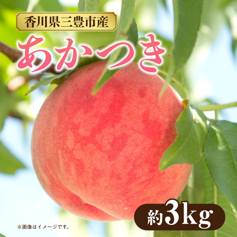 [ふるさと納税]数量限定!先行予約販売開始★ 神田農園の産地直送 桃「あかつき」 約3kg(9〜10玉) [ フルーツ 名産品 桃 もも モモ 果物 くだもの お取り寄せグルメ 三豊市 20000 20, 返礼品 神田桃園 ] ※配送不可地域:北海道・沖縄県・離島