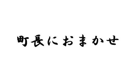 ⑤町長におまかせ