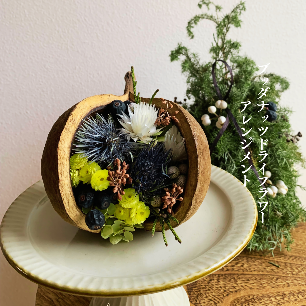 ブッダナッツ ドライフラワー アレンジメント XY006