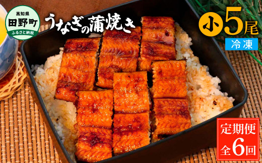 田野町産うなぎの蒲焼き(小) 5尾×6回 定期便 6ヶ月 定期コース 1尾あたり90～120g タレ付き 山椒付き うなぎ 鰻 ウナギ 蒲焼き かば焼き 無頭 おいしい 国産 お取り寄せ 冷凍 配送