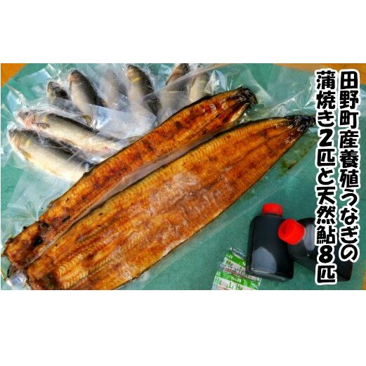 田野町産うなぎの蒲焼き2匹と天然鮎8匹セット タレ付き 山椒付き うなぎ 鰻 ウナギ 蒲焼き かば焼き 無頭 おいしい 国産 お取り寄せ 冷凍 配送