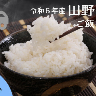 ≪先行受付中：定期便3ヵ月（10月～12月）≫  ★ 令和5年産 新米 ★【四国一小さなまち】 田野米 10kg ＋ ご飯のお供 ～ 精米 ・ 白米 ～ 